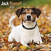 Jack Russell Calendar